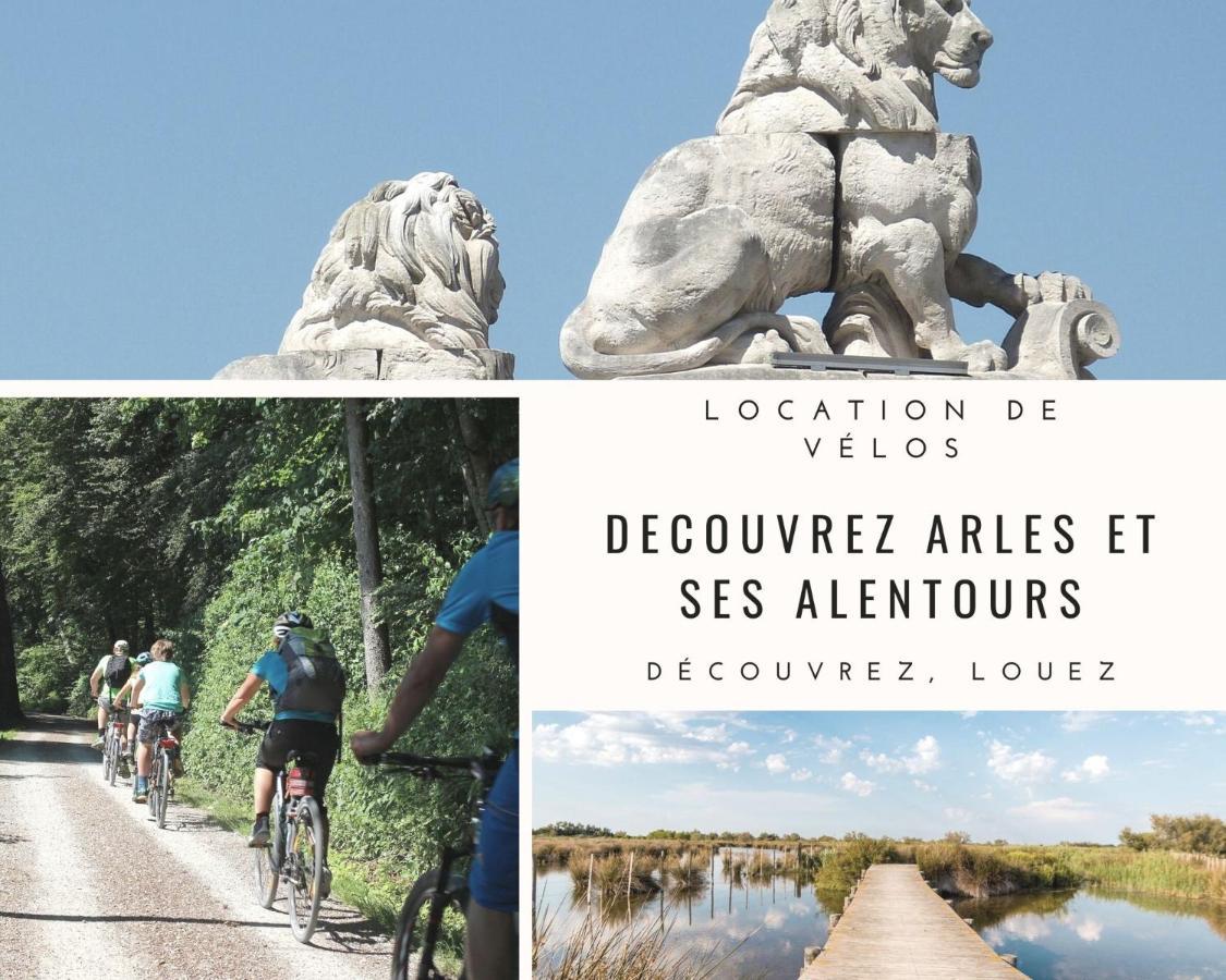 La Terrasse Ensoleillee Arles Camargue Daire Dış mekan fotoğraf
